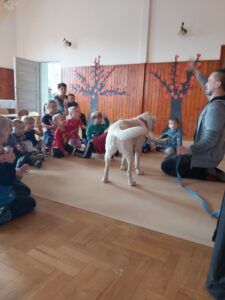 Przedszkole Żłobek Centrum Terapeutyczne | Limanowa Mordarka Przyszowa | skrzatek.eu|Dogoterapia