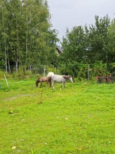 Przedszkole Żłobek Centrum Terapeutyczne | Limanowa Mordarka Przyszowa | skrzatek.eu|WYCIECZKA